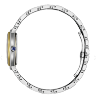 Watch Citizen Woman Arcly in Steel EM1104-83D - EM1104-83D